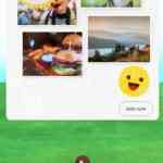 pikmin bloom screenshot 3