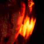 martha is dead screens nov 2