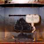 martha is dead screens nov 5