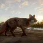 thehunter cotw mississippi reservat 2