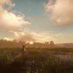 thehunter cotw mississippi reservat 3