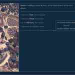 roadwarden screens 8